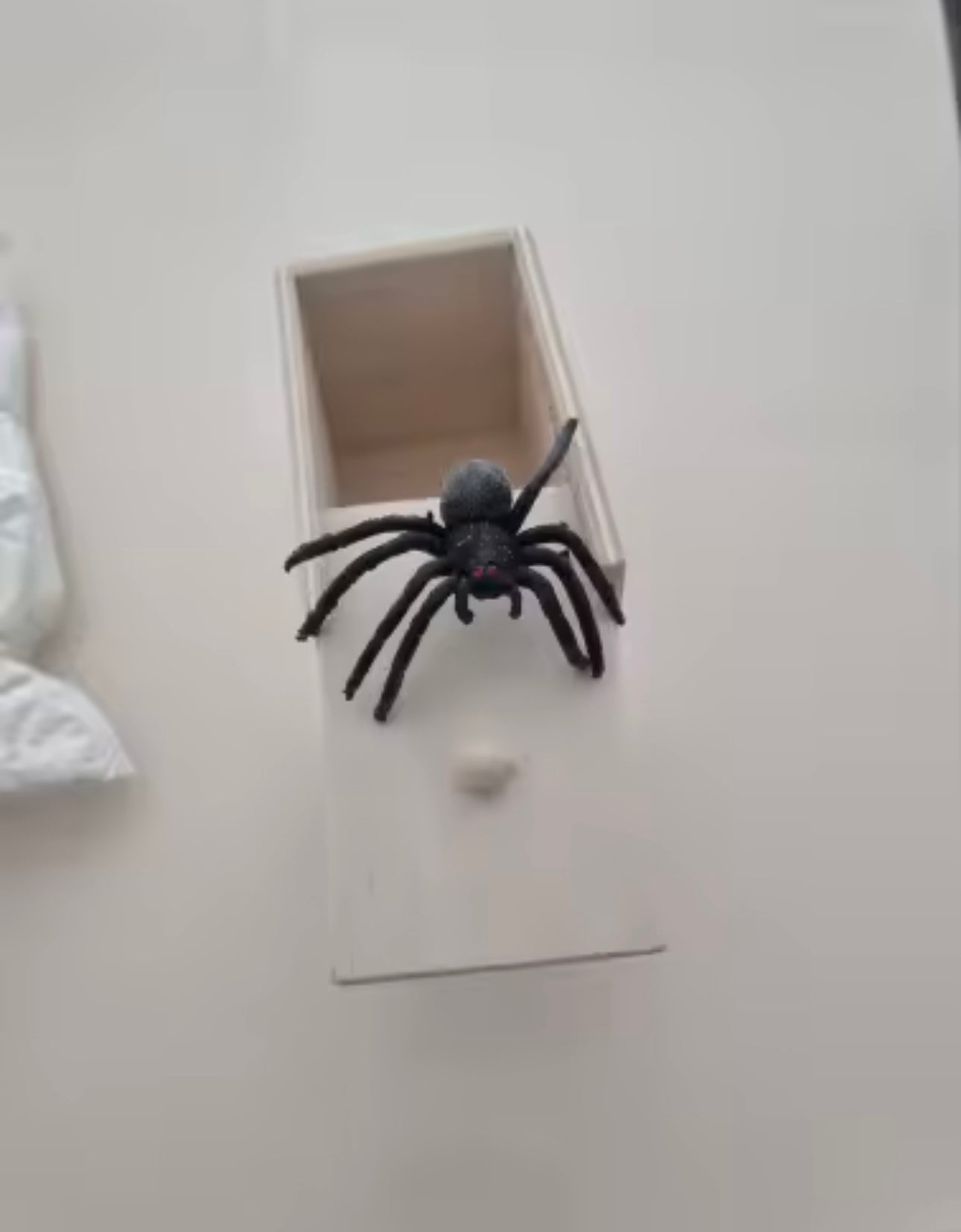 <strong>Carlos F.</strong>